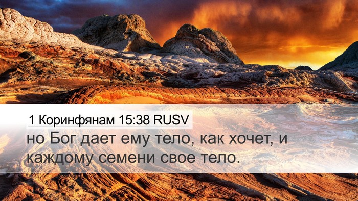 1 Коринфянам 15:38 RUSV Bible Verse Image