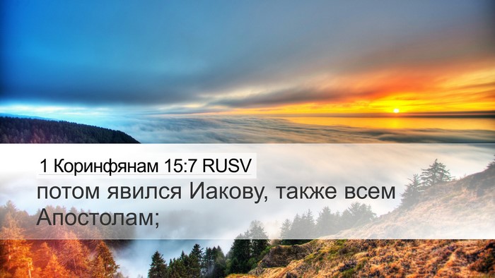1 Коринфянам 15:7 RUSV Bible Verse Image