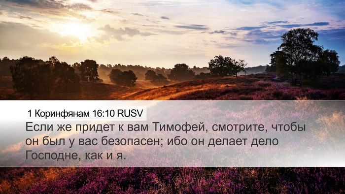 1 Коринфянам 16:10 RUSV Bible Verse Image