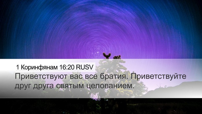 1 Коринфянам 16:20 RUSV Bible Verse Image