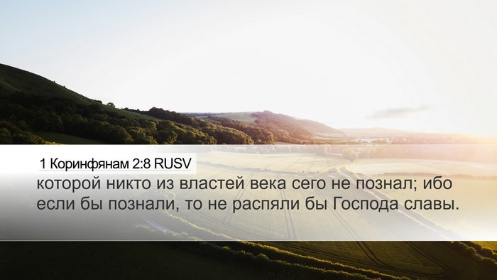 1 Коринфянам 2:8 RUSV Bible Verse Image