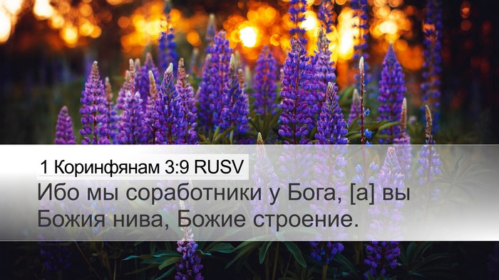 1 Коринфянам 3:9 RUSV Bible Verse Image