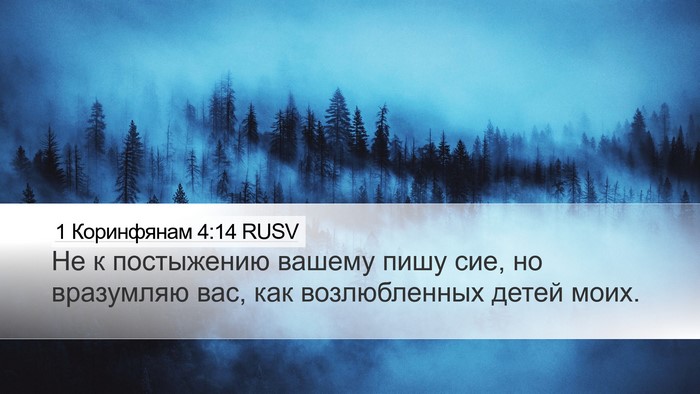 1 Коринфянам 4:14 RUSV Bible Verse Image