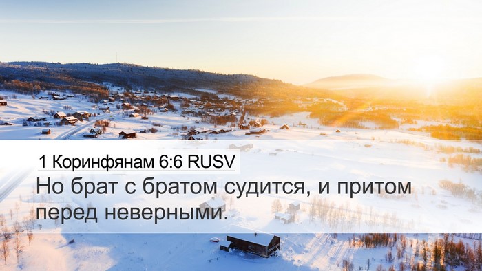 1 Коринфянам 6:6 RUSV Bible Verse Image