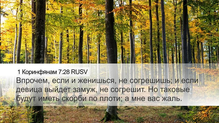 1 Коринфянам 7:28 RUSV Bible Verse Image