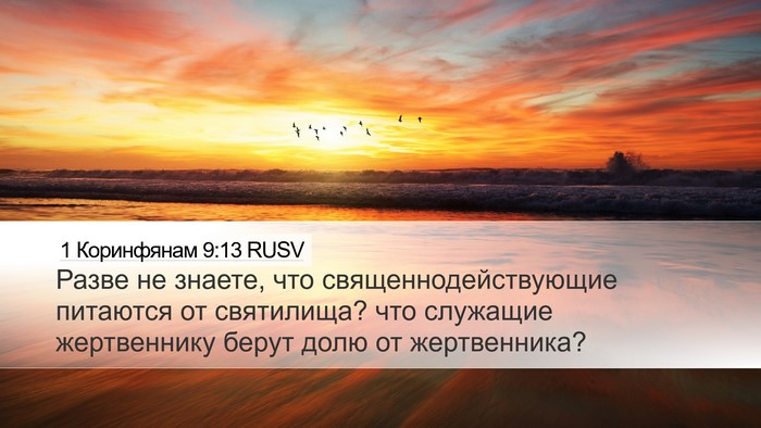 1 Коринфянам 9:13 RUSV Bible Verse Image