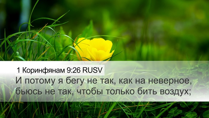 1 Коринфянам 9:26 RUSV Bible Verse Image
