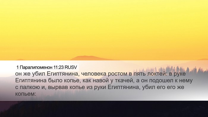 1 Паралипоменон 11:23 RUSV Bible Verse Image