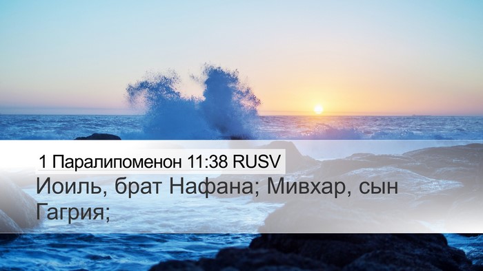 1 Паралипоменон 11:38 RUSV Bible Verse Image