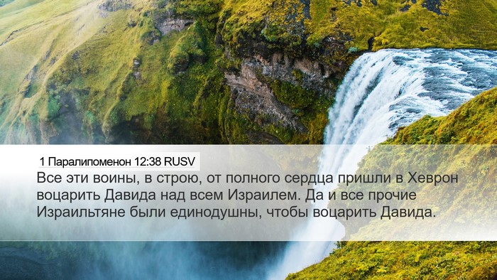 1 Паралипоменон 12:38 RUSV Bible Verse Image