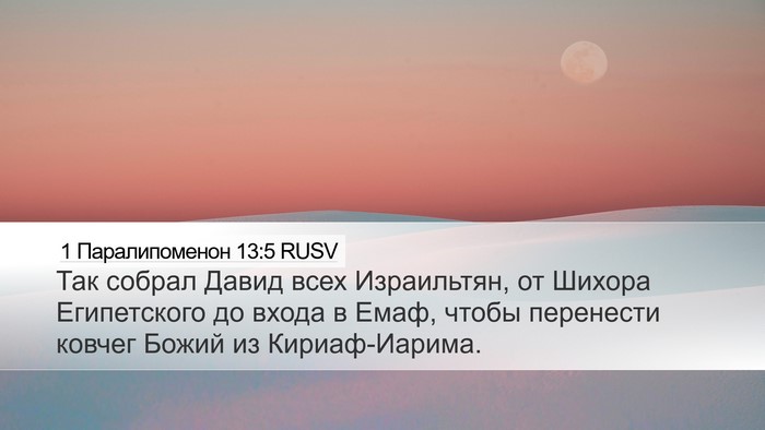 1 Паралипоменон 13:5 RUSV Bible Verse Image