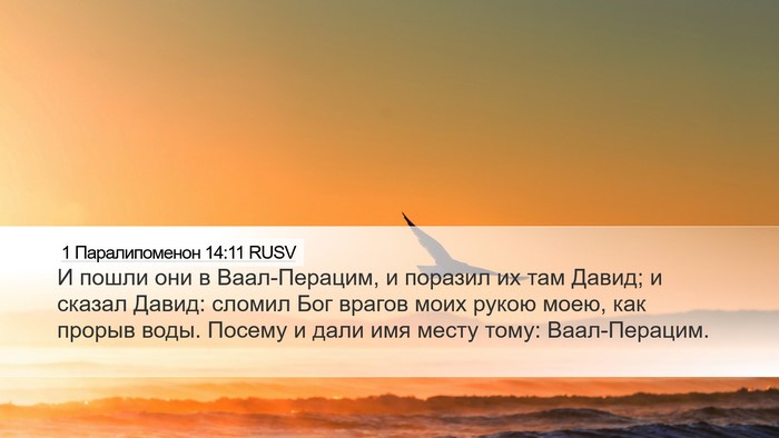 1 Паралипоменон 14:11 RUSV Bible Verse Image
