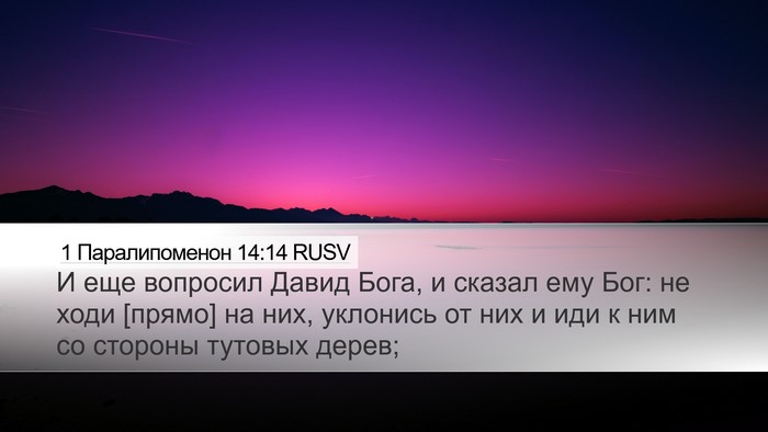 1 Паралипоменон 14:14 RUSV Bible Verse Image