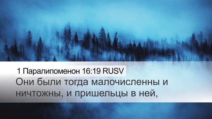 1 Паралипоменон 16:19 RUSV Bible Verse Image