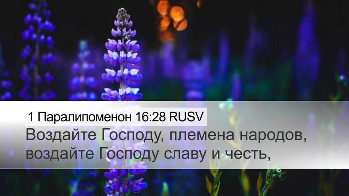 1 Паралипоменон 16:28 RUSV Bible Verse Image