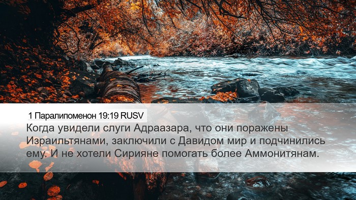 1 Паралипоменон 19:19 RUSV Bible Verse Image
