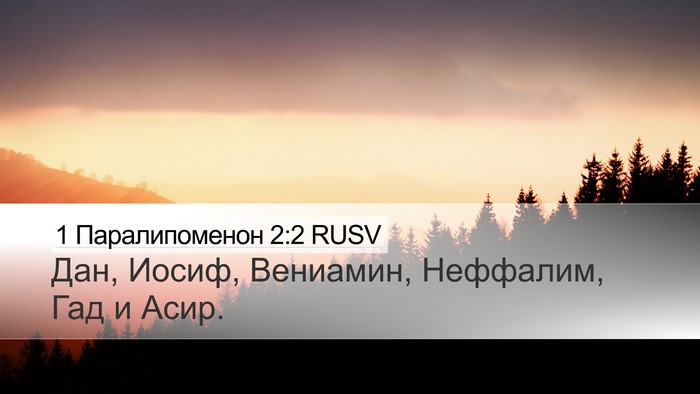1 Паралипоменон 2:2 RUSV Desktop Wallpaper - Дан, Иосиф, Вениамин, - Desktop Bible Verse Wallpaper