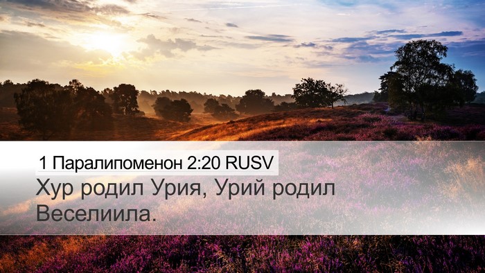 1 Паралипоменон 2:20 RUSV Desktop Wallpaper - Хур родил Урия, Урий родил - Desktop Bible Verse Wallpaper