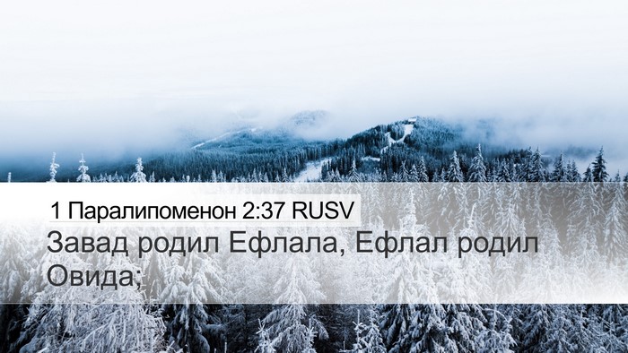 1 Паралипоменон 2:37 RUSV Desktop Wallpaper - Завад родил Ефлала, Ефлал - Desktop Bible Verse Wallpaper