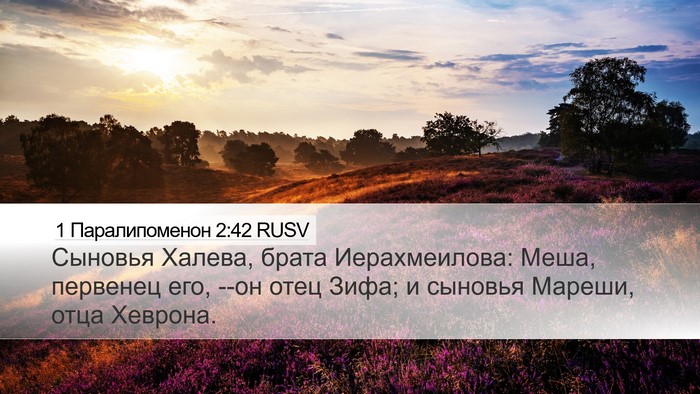 1 Паралипоменон 2:42 RUSV Bible Verse Image