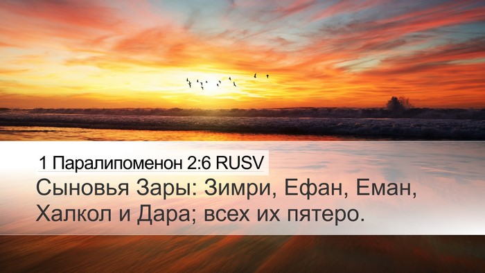 1 Паралипоменон 2:6 RUSV Desktop Wallpaper - Сыновья Зары: Зимри, Ефан, - Desktop Bible Verse Wallpaper