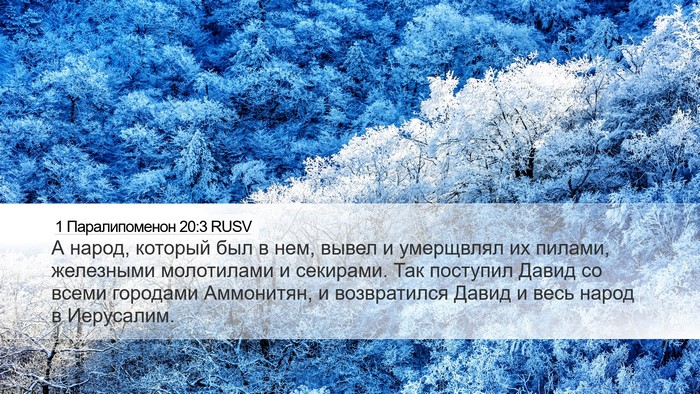 1 Паралипоменон 20:3 RUSV Desktop Wallpaper - А народ, который был в нем, - Desktop Bible Verse Wallpaper