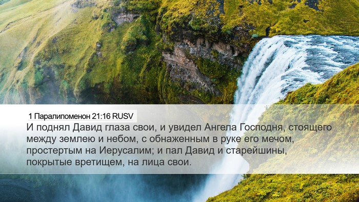 1 Паралипоменон 21:16 RUSV Bible Verse Image