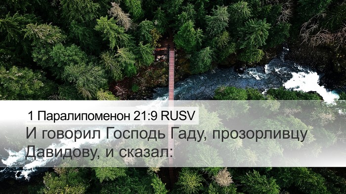 1 Паралипоменон 21:9 RUSV Bible Verse Image