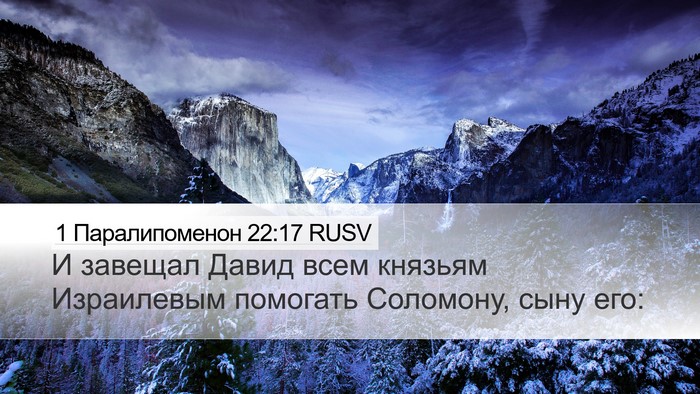 1 Паралипоменон 22:17 RUSV Bible Verse Image