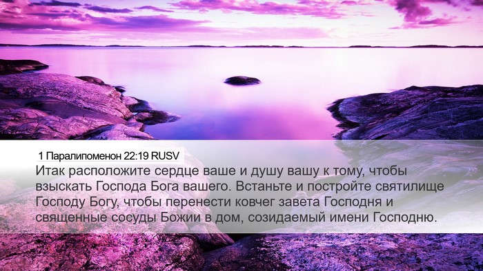1 Паралипоменон 22:19 RUSV Bible Verse Image