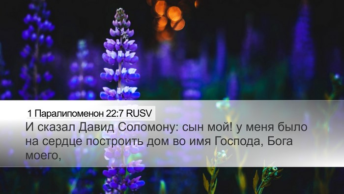 1 Паралипоменон 22:7 RUSV Bible Verse Image
