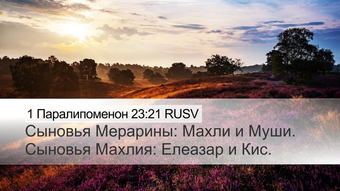 1 Паралипоменон 23:21 RUSV Bible Verse Image
