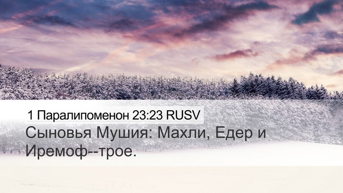1 Паралипоменон 23:23 RUSV Bible Verse Image