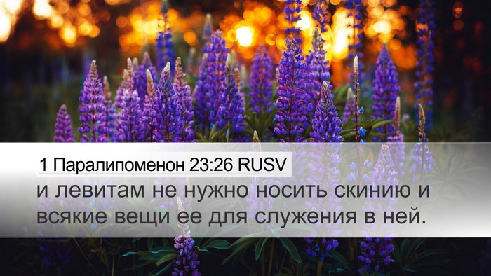 1 Паралипоменон 23:26 RUSV Bible Verse Image