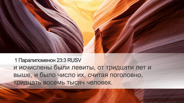 1 Паралипоменон 23:3 RUSV Bible Verse Image
