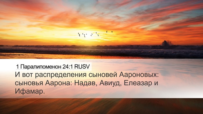 1 Паралипоменон 24:1 RUSV Bible Verse Image