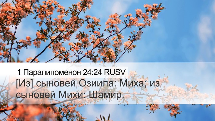 1 Паралипоменон 24:24 RUSV Desktop Wallpaper - [Из] сыновей Озиила: Миха; - Desktop Bible Verse Wallpaper