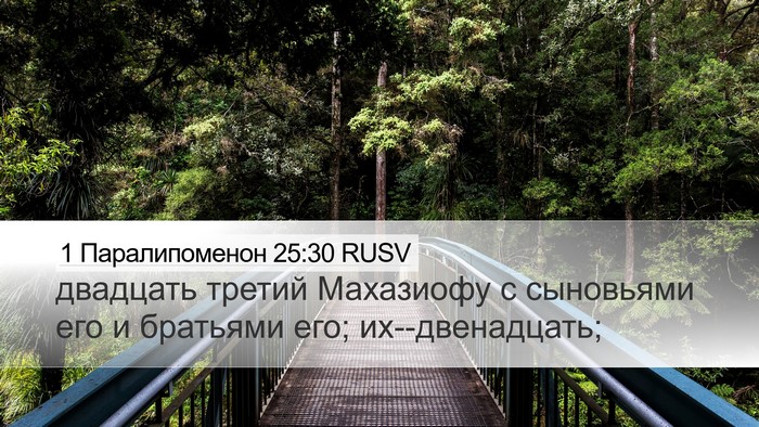 1 Паралипоменон 25:30 RUSV Bible Verse Image