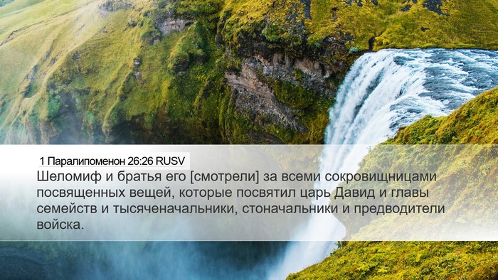1 Паралипоменон 26:26 RUSV Bible Verse Image