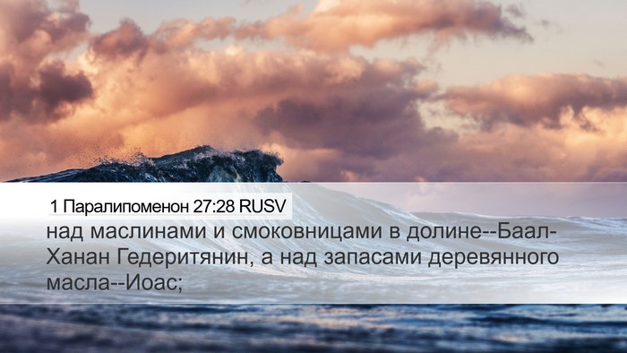 1 Паралипоменон 27:28 RUSV Bible Verse Image