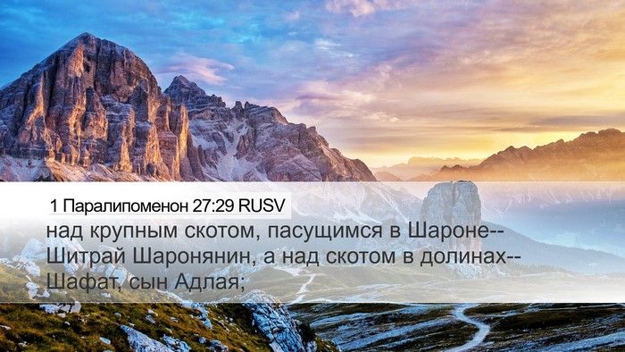 1 Паралипоменон 27:29 RUSV Bible Verse Image