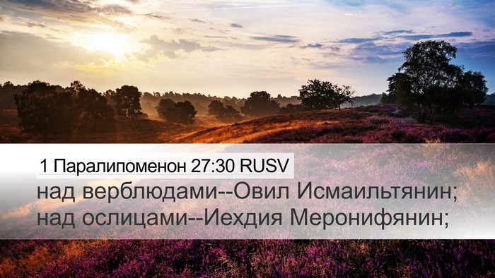 1 Паралипоменон 27:30 RUSV Desktop Wallpaper - над верблюдами--Овил - Desktop Bible Verse Wallpaper