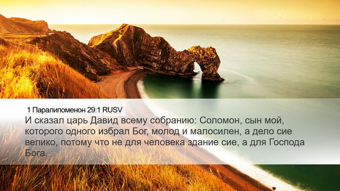 1 Паралипоменон 29:1 RUSV Bible Verse Image