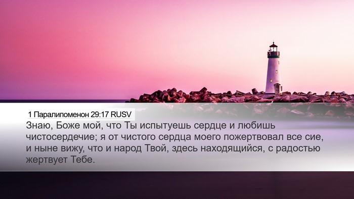 1 Паралипоменон 29:17 RUSV Bible Verse Image