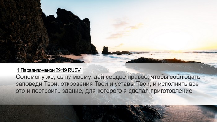 1 Паралипоменон 29:19 RUSV Bible Verse Image