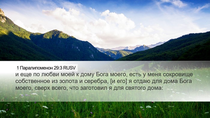 1 Паралипоменон 29:3 RUSV Bible Verse Image