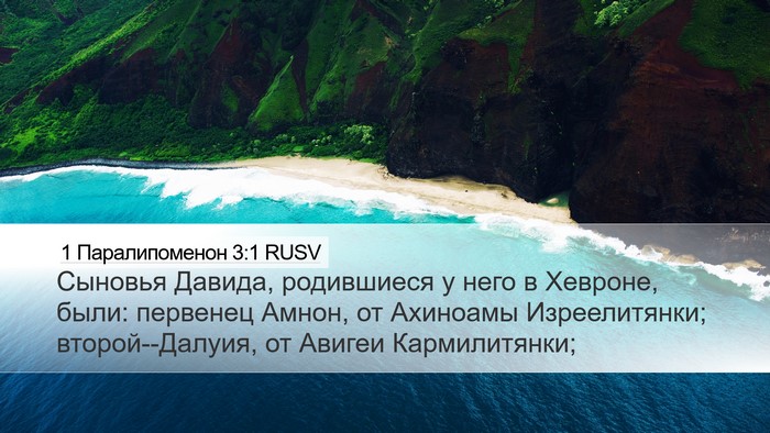 1 Паралипоменон 3:1 RUSV Bible Verse Image