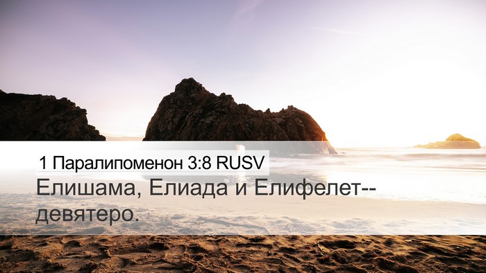 1 Паралипоменон 3:8 RUSV Bible Verse Image