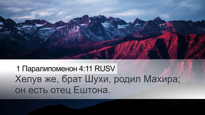1 Паралипоменон 4:11 RUSV Desktop Wallpaper - Хелув же, брат Шухи, родил - Desktop Bible Verse Wallpaper