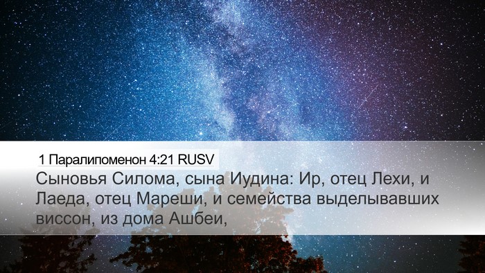 1 Паралипоменон 4:21 RUSV Bible Verse Image